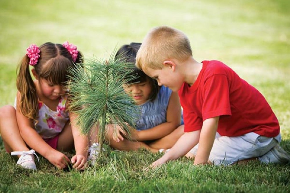 En este momento estás viendo ¿Cómo favorecer que los niños conecten con la naturaleza?